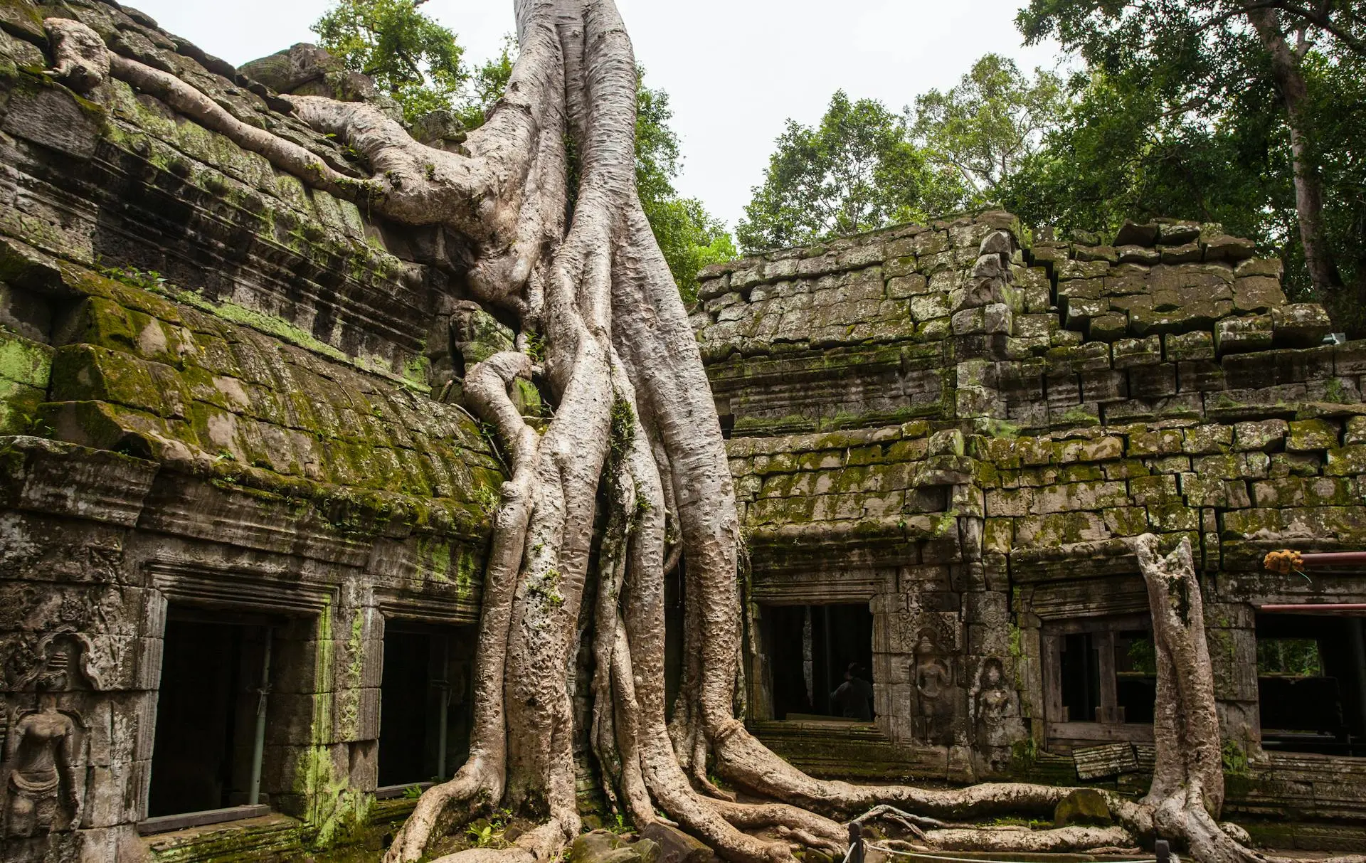 Angkor Wat with epic tree